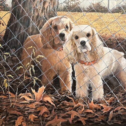 Animals