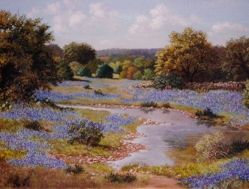 Bluebonnets